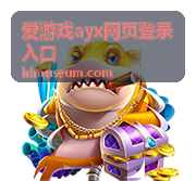 爱游戏ayx网页登录入口登录指南